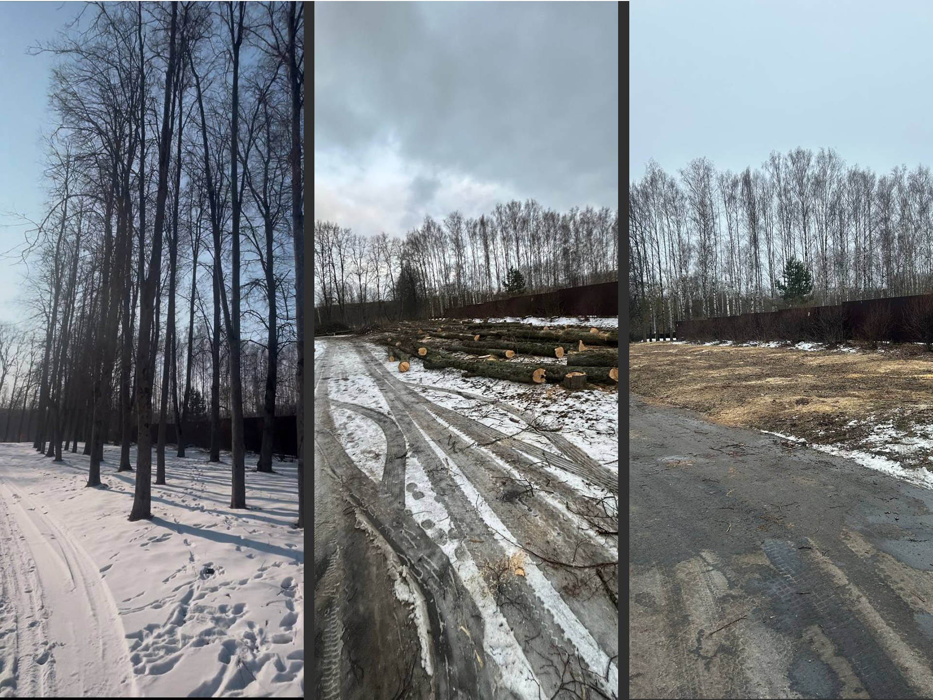 Расчистка заросшего участка